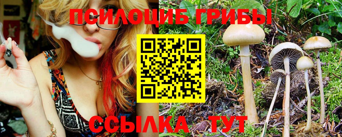 Аргун  Галлюциногенные грибы GOLDEN TEACHER  хочу   Вход с VPN 