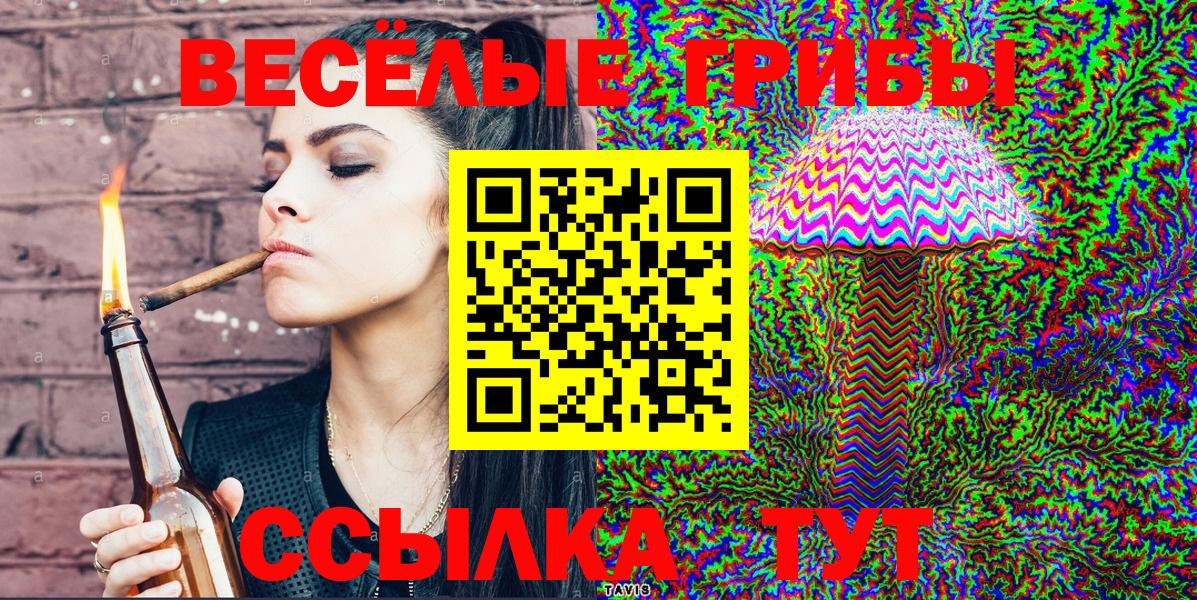 Псилоцибиновые грибы Psilocybe Аргун